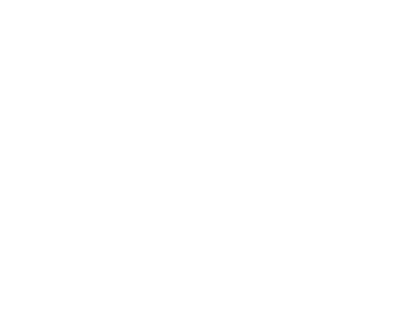 Schwarze Katz